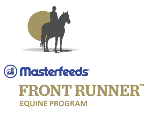 Masterfeeds Front Runner