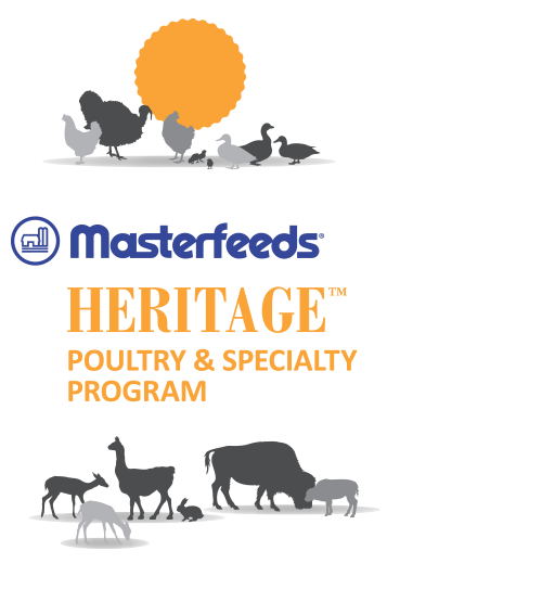 Masterfeeds Heritage