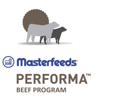 Masterfeeds Performa