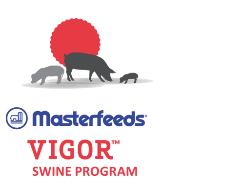 Masterfeeds Vigor