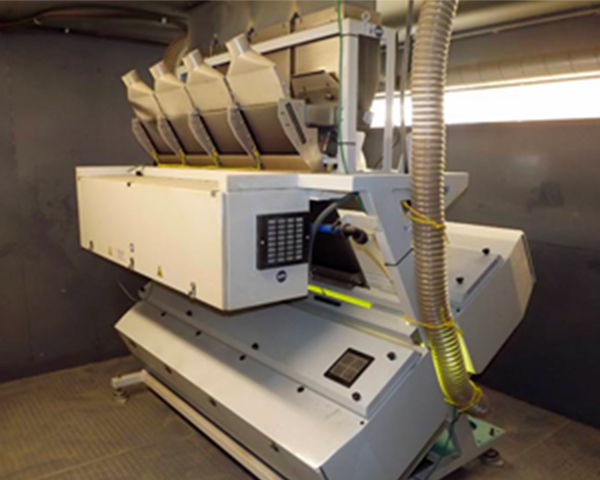 Color Sorter Machine at St.Paul Seed Cleaning (132 KB)